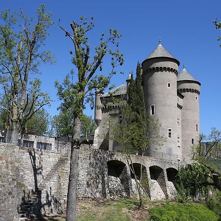 Chateau De Lugagnac Riviere-sur-Tarn Экстерьер фото