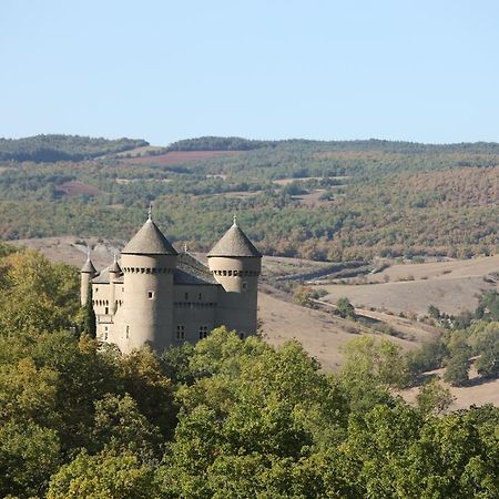 Chateau De Lugagnac Riviere-sur-Tarn Экстерьер фото